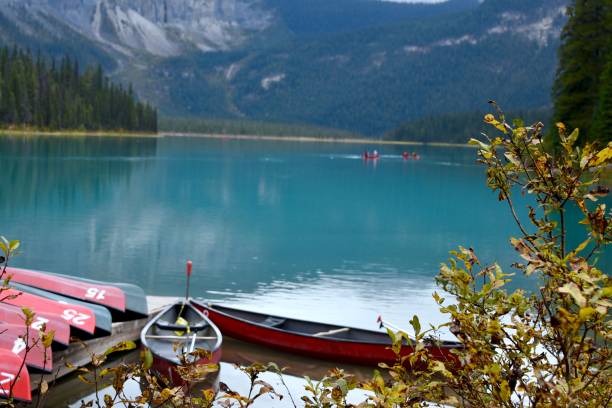 istock fall in the Canadian Rockies 1371595285