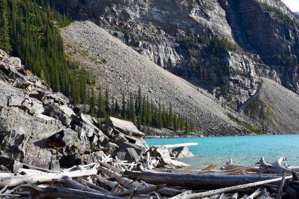 istock fall in the Canadian Rockies 1371595443