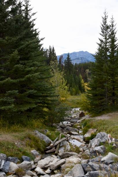 istock fall in the Canadian Rockies 1371595527