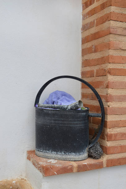 istock Bucket with amphibian hiding on wall 1371599228