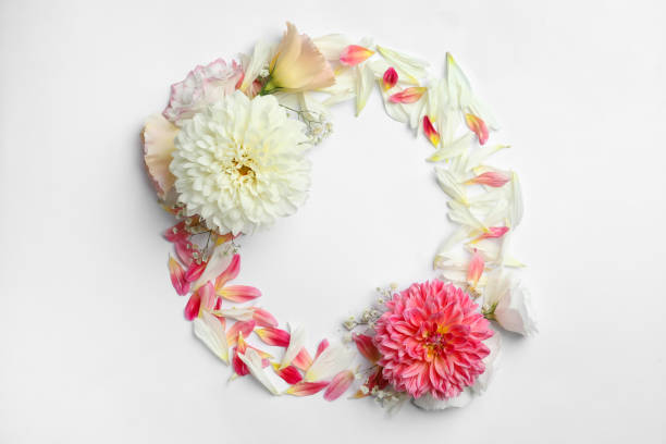 istock Frame made with beautiful dahlia and eustoma flowers on white background, flat lay. Space for text 1371607107