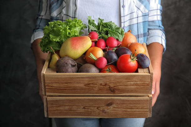 Farmer holding wooden crate filled with fresh vegetables and fruits on grey background, closeup