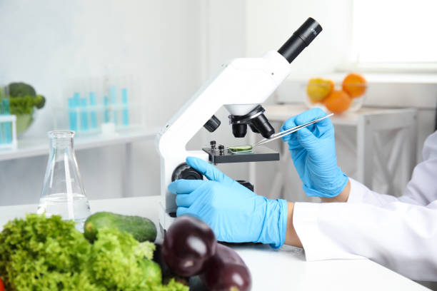 istock Scientist inspecting slice of cucumber with microscope in laboratory, closeup. Poison detection 1371611809