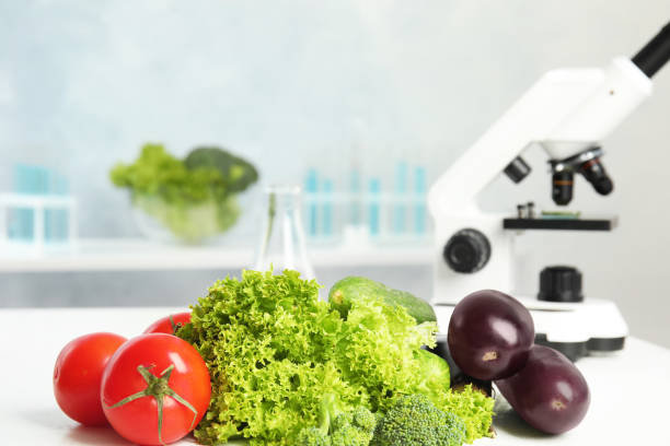 istock Different fresh vegetables on table in laboratory, space for text. Poison detection 1371611958