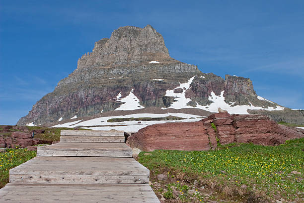 istock Boardwalk  Hidden Lake Trail 137161522