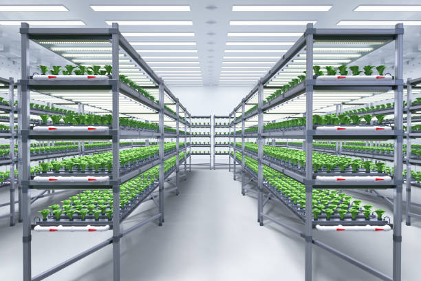 istock indoor farm system raised plants on shelves growth with led light 1371622015