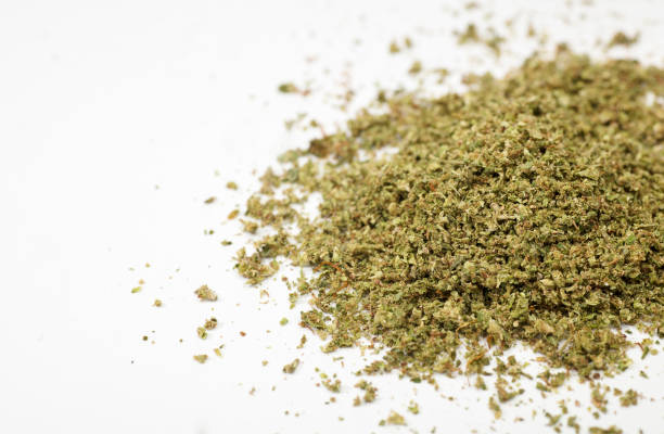 istock partial view of crushed marijuana, white background, space for text 1371626471