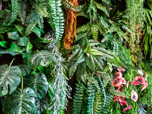 istock Artificial Ferns and Plant Showing 1371631623