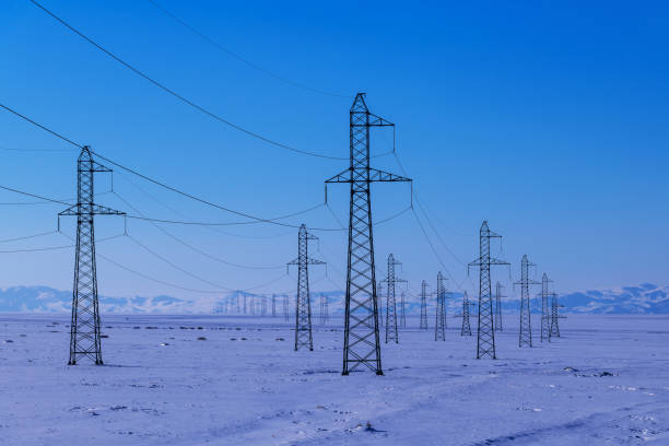 Many power lines in the winter steppe