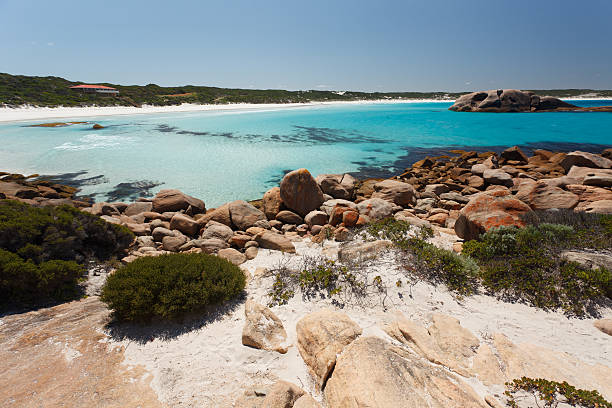 istock Turquise blue beach of West Australia 137164091