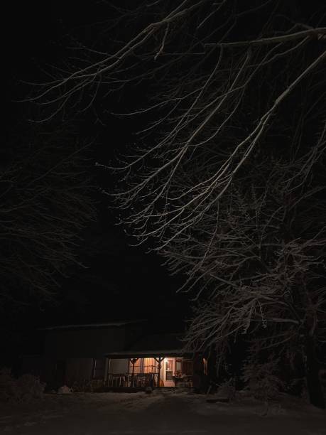 ​A snow-covered rural yard in the deep blue twilight evokes an atmosphere of winter tranquility. Trees and bushes blanketed in snow surround old village houses, emphasizing the frosty silence of the evening.