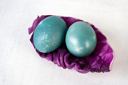 Dyeing Easter eggs with natural dye red cabbage. Selective focus.