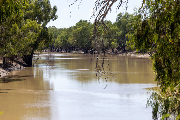 istock Darling River at Bourke New South Wales 1371646780