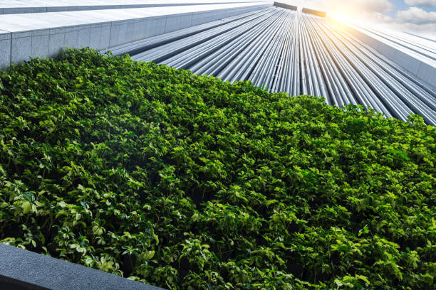 Eco friendly building with vertical garden
