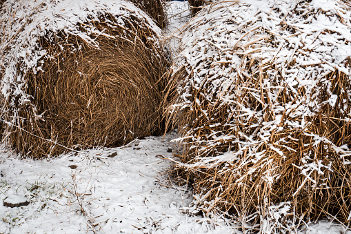 Haystack with snow close up