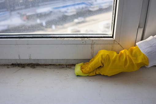 Cleaning the plastic window sill from mold and dirt. A woman in rubber gloves wipes the windowsill with a sponge. Space for text.