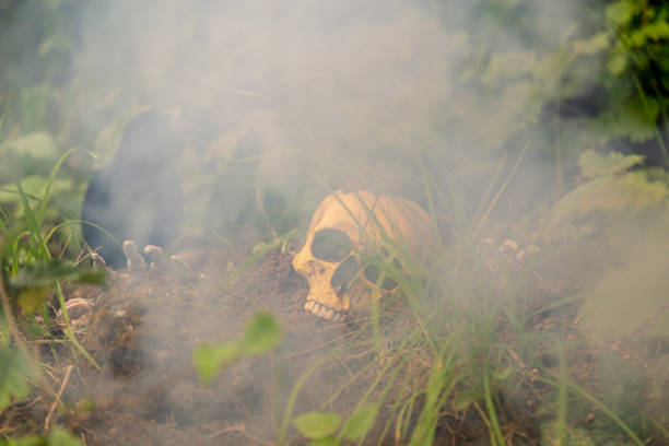 istock Still life with skull and raven 1371669216