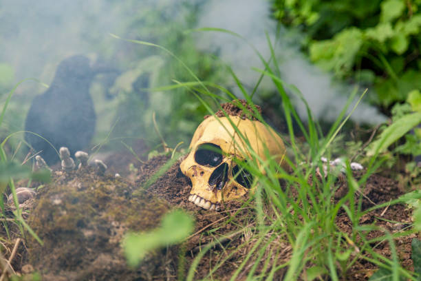 istock Still life with skull and raven 1371669290