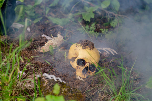 istock Still life with skull and raven 1371669318