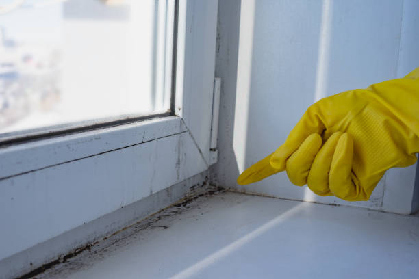 istock Hand in rubber protective glove pointing to the mold in the window corner. Copy space. Selective focus. 1371670658