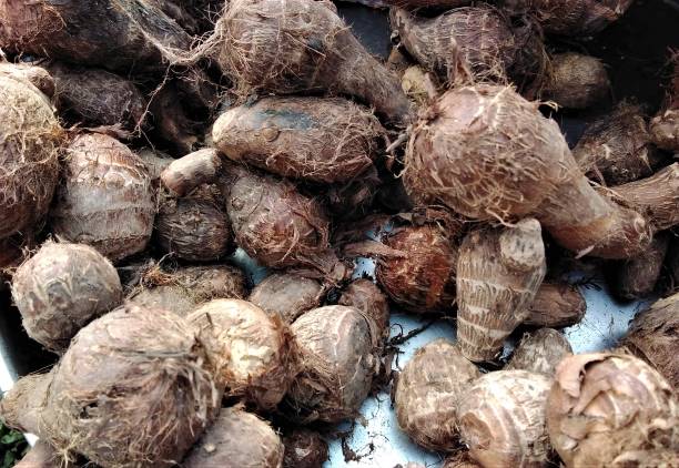 istock A tray of fresh coco yams 1371673868