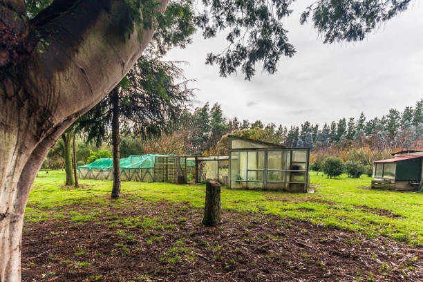 istock Green house on the garden 1371676510