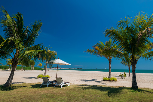 White deck chairs with parasol neat coconut or palm trees at Cha Am beach against blue sky, Phetchaburi, Thailand. Summer holiday maker or travel vacation in tropical country, Siam.