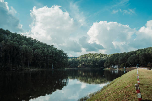 istock long walkway by the lake 1371679830