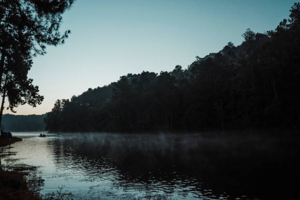 istock misty morning in the forest 1371679835