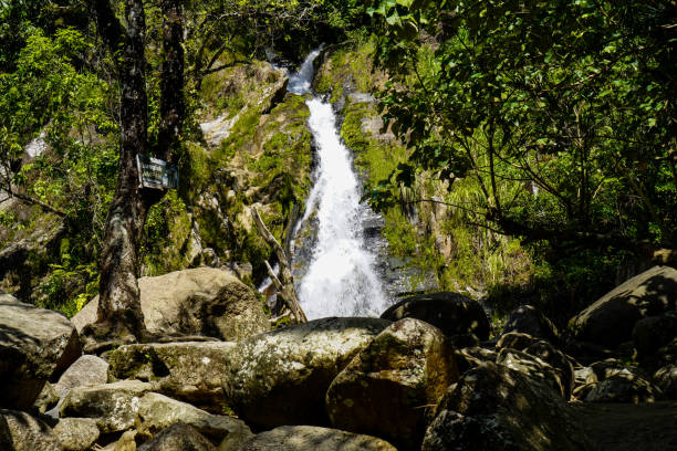 istock waterfall stock photo 1371679979
