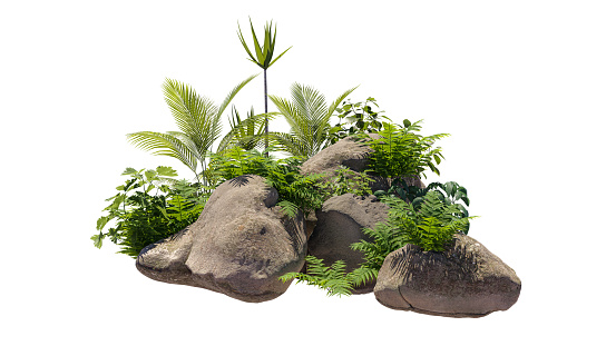 Cutout rock surrounded by plants. Decorative shrub for landscaping. Clipping mask available for composition. 3d rendering