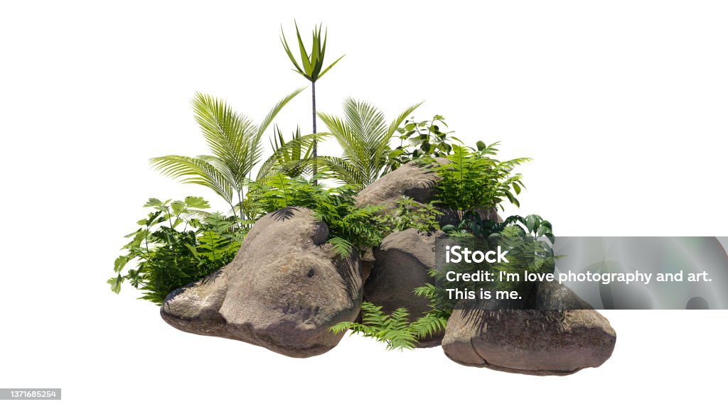 Cutout rock surrounded by plants. Decorative shrub for landscaping. Clipping mask available for composition. 3d rendering Plant Stock Photo