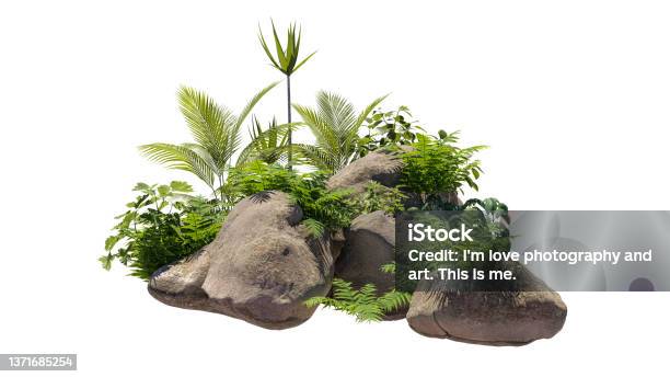 Cutout Rock Surrounded By Plants Decorative Shrub For Landscaping Clipping Mask Available For Composition 3d Rendering Stock Photo - Download Image Now