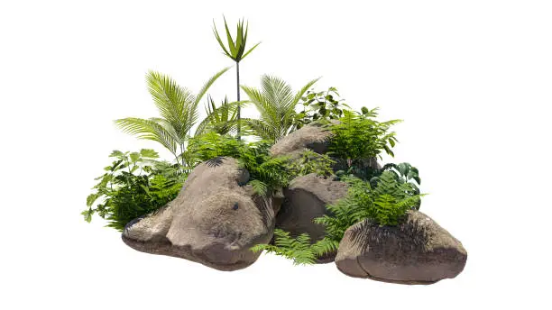 Photo of Cutout rock surrounded by plants. Decorative shrub for landscaping. Clipping mask available for composition. 3d rendering