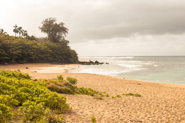 istock Panoramic landscape from a beach in Kauai, Hawai 1371690083