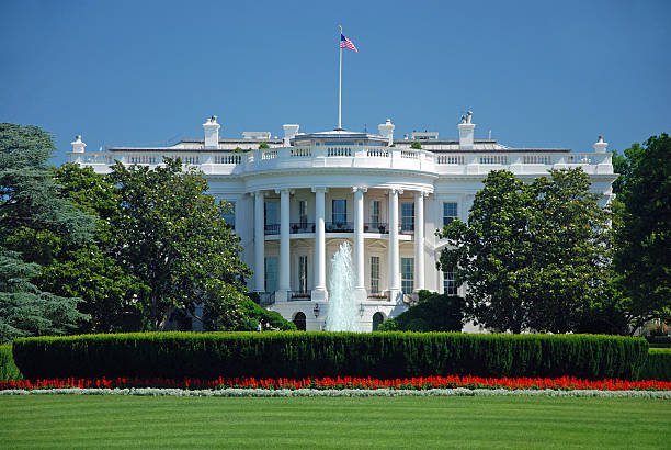 The White House in Washington DC The White House in Washington DC with beautiful blue sky us president stock pictures, royalty-free photos & images