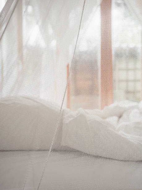 istock Mosquito net and bed in hotel room 1371697097