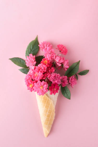 istock Pink flowers in a waffle cone on a pink background. Minimalist design idea. 1371700478
