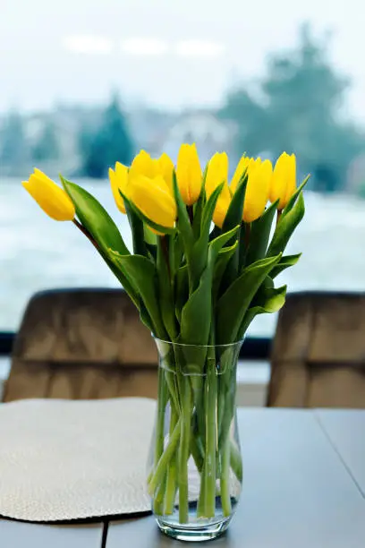 yellow tulips,yellow tulips stand in a vase of water on the kitchen table with the background on the window,flowers for the holiday of women on March eighth,tulips in a vase,present to a girl