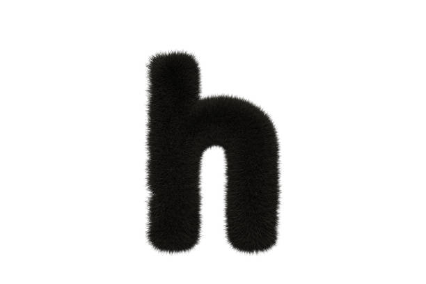 istock Letter h with black fluffy hairy fur lowercase white background 1371703097