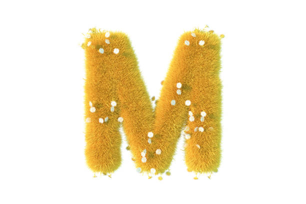 letter m with yellow grass and flowers uppercase white background - letter m alphabet color image flower imagens e fotografias de stock