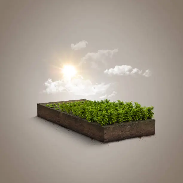 Photo of 3d illustration of mini farm isolated. Plants isolated on soil island. micro world concept.