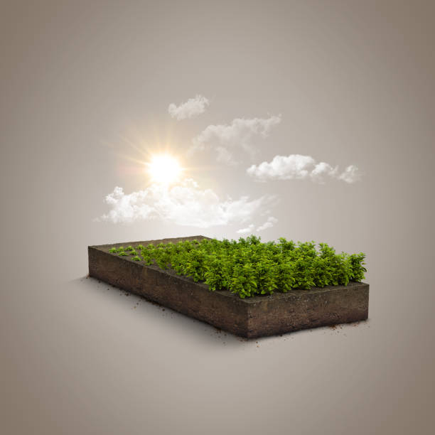 3d illustration of mini farm isolated. plants isolated on soil island. micro world concept. - garden soil imagens e fotografias de stock