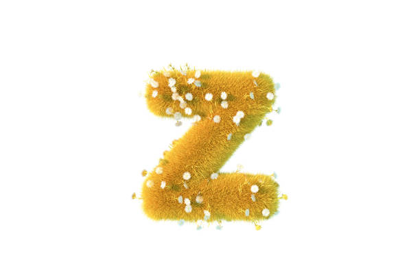3d rendering letter z with yellow grass and flowers lowercase alphabet white background