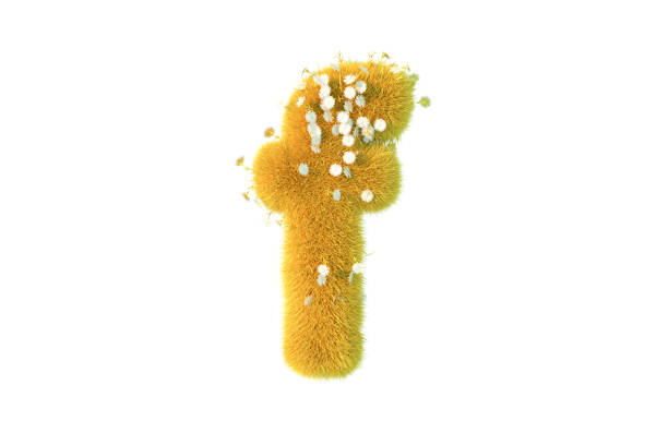 istock Letter f with yellow grass and flowers lowercase white background 1371706413