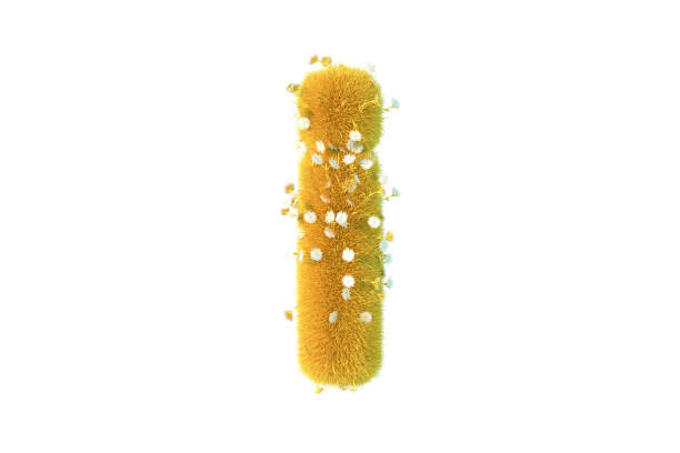 istock Letter i with yellow grass and flowers lowercase white background 1371706522