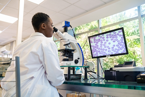 Rear view of a woman pathologist looking at a sample using microscope with magnified image seen on computer screen. Female technician working in a medical laboratory.