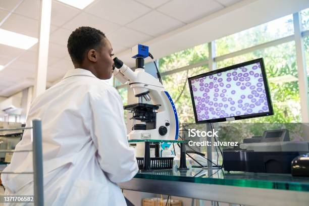 Scientist Working In Pathology Lab Stock Photo - Download Image Now - Laboratory, Microscope, Pathologist