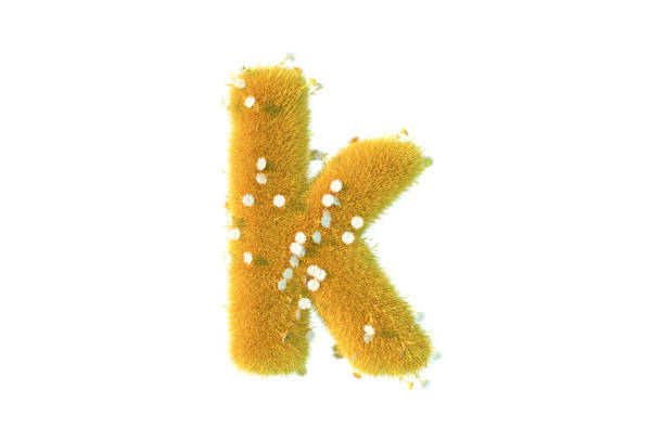buchstabe k mit gelbem gras und blumen kleingeschrieben weiß - letter k alphabet three dimensional shape green stock-fotos und bilder