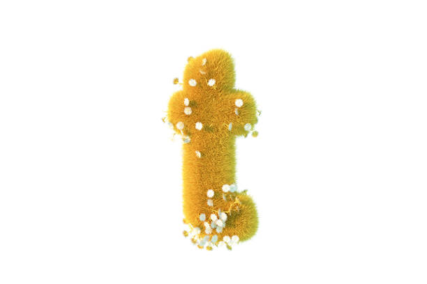 istock Letter t with yellow grass and flowers lowercase white background 1371707468